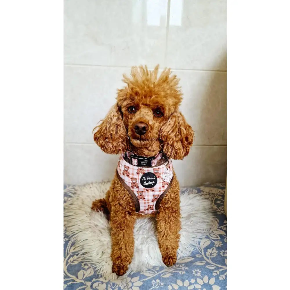 Vintage Bear Gingham Dog Harness - Pet Pooch - 6