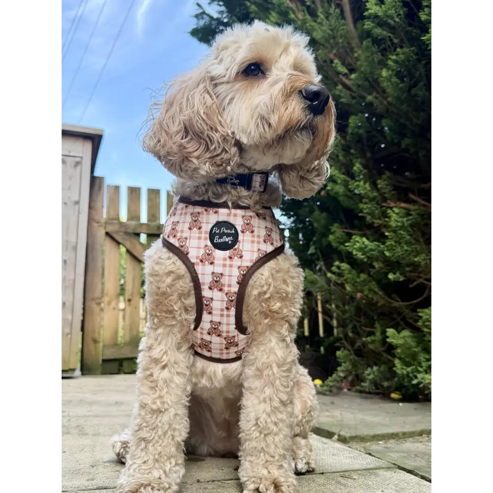 Vintage Bear Gingham Dog Harness - Pet Pooch - 3
