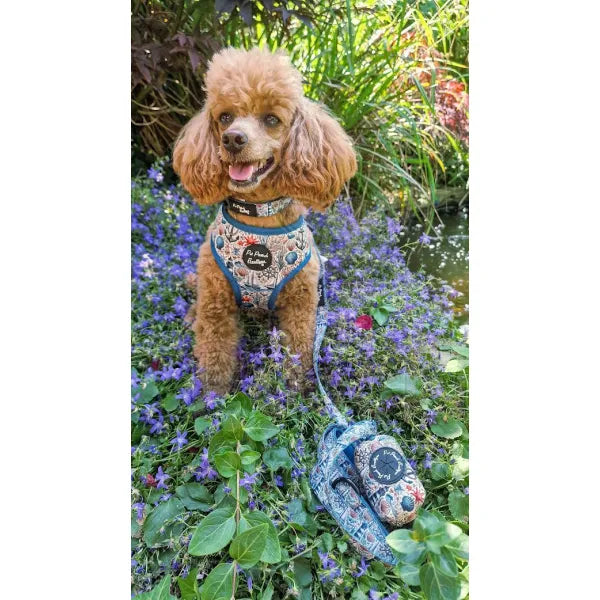 Vintage Nautical Dog Lead Pet Pooch 4