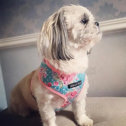 Vintage Rose Floral Dog Harness - Urban - 2