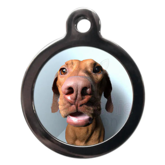 Vizsla Fish Eye Lens Dog Id Tag - Ps Pet Tags - 1