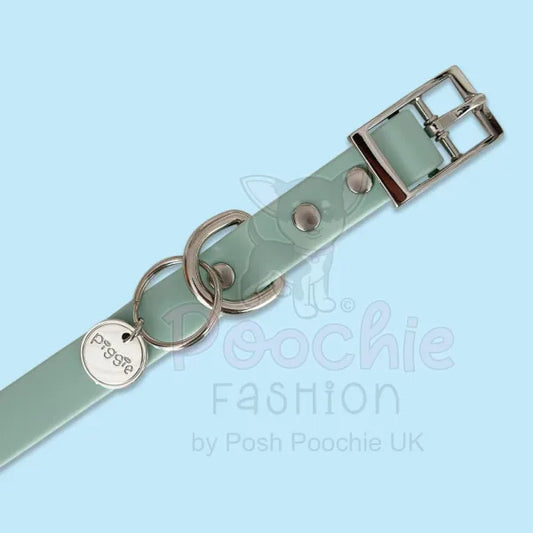 Waterproof Dog Collar in Pastel Green Piggie 2