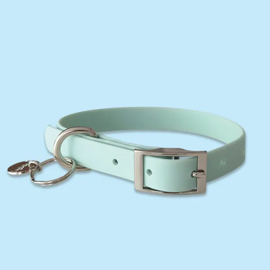 Waterproof Dog Collar in Pastel Green Piggie 1
