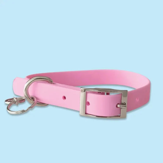 Waterproof Dog Collar in Pastel Lilac Piggie 1