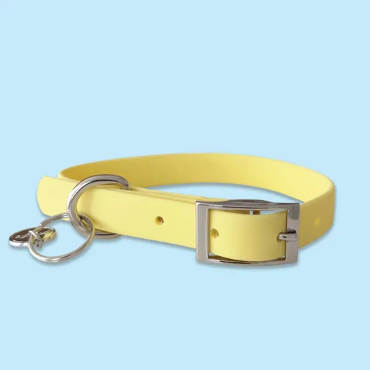 Waterproof Dog Collar in Pastel Yellow Piggie 1