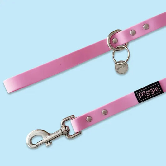 Waterproof Dog Lead in Pastel Lilac Piggie 1