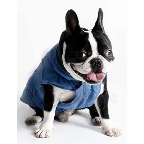 Weatherproof Quilted Bodywarmer Dog Coat in Blue - Posh Pawz - 3