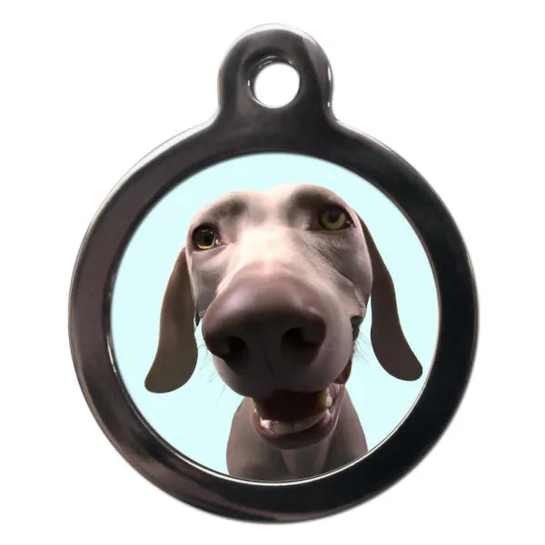 Weimaraner Fish Eye Lens Dog Id Tag Ps Pet Tags 1