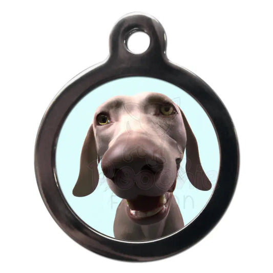Weimaraner Fish Eye Lens Dog Id Tag - Ps Pet Tags - 1