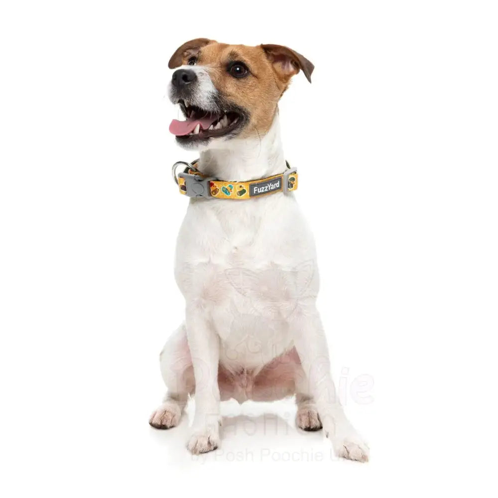 What the Duck Dog Collar by Fuzzyard - Fuzzyard - 2