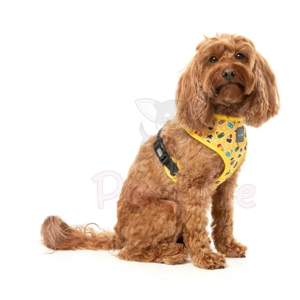 What the Duck Dog Harness by Fuzzyard - Fuzzyard - 3