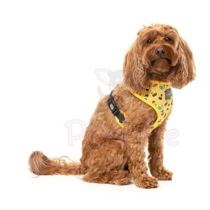 What the Duck Dog Harness by Fuzzyard - Fuzzyard - 3