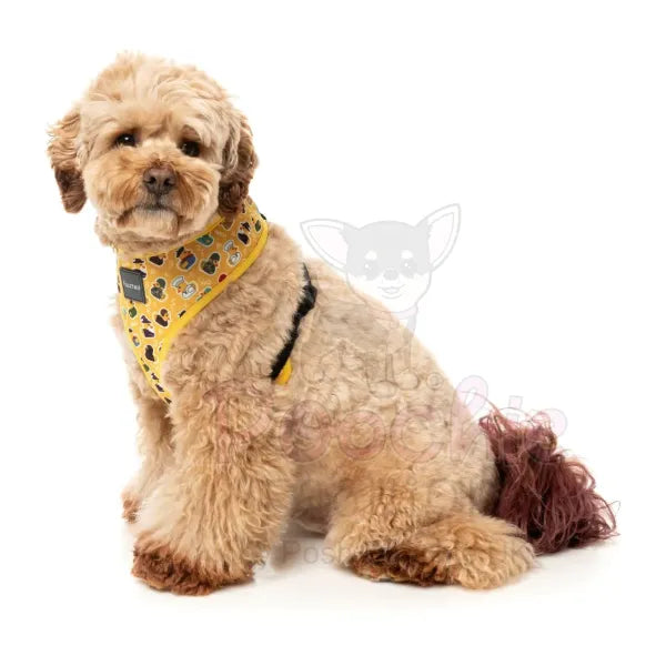 What the Duck Dog Harness by Fuzzyard - Fuzzyard - 4