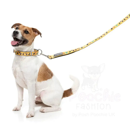 What the Duck Dog Lead by Fuzzyard - Fuzzyard - 2