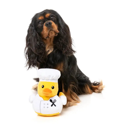 What the Duck - Gordon Quacksay Dog Toy by Fuzzyard - Fuzzyard - 5