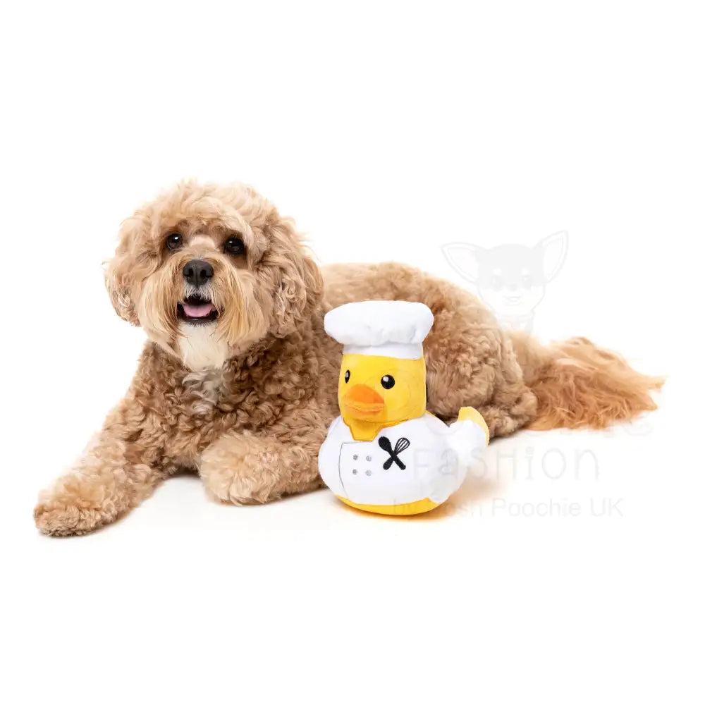 What the Duck - Gordon Quacksay Dog Toy by Fuzzyard - Fuzzyard - 5