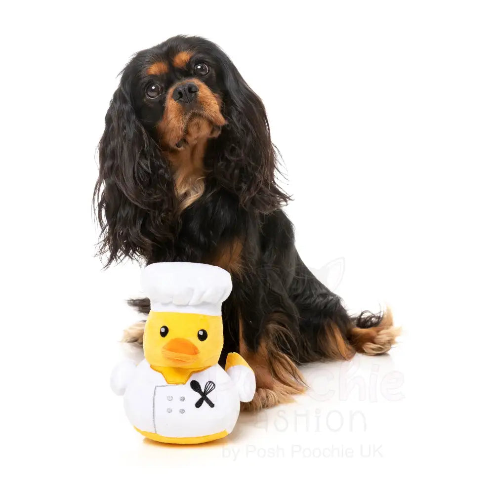 What the Duck - Gordon Quacksay Dog Toy by Fuzzyard - Fuzzyard - 6