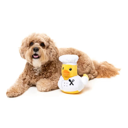 What the Duck - Gordon Quacksay Dog Toy by Fuzzyard - Fuzzyard - 4