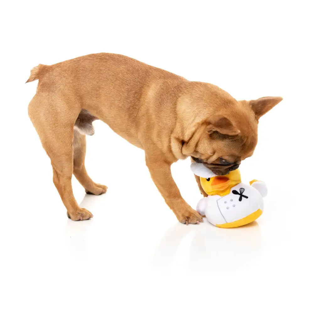 What the Duck - Gordon Quacksay Dog Toy by Fuzzyard - Fuzzyard - 6