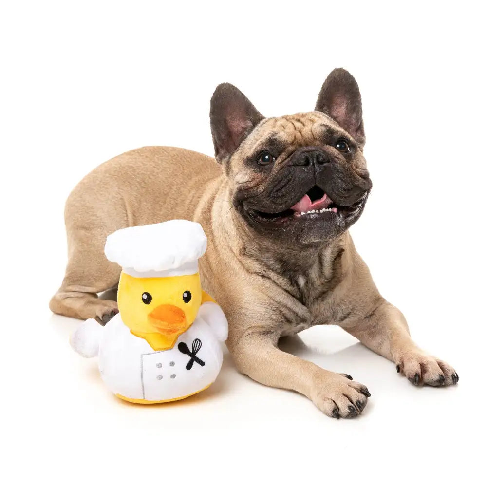 What the Duck - Gordon Quacksay Dog Toy by Fuzzyard - Fuzzyard - 2