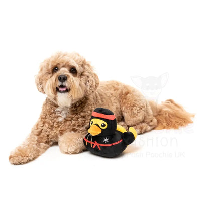 What the Duck - Quackie Chan Dog Toy by Fuzzyard - Fuzzyard - 6