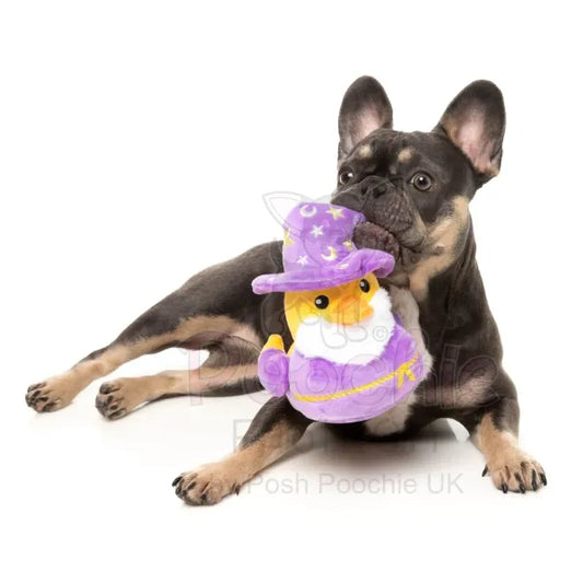 What the Duck - Sirius Quack Dog Toy by Fuzzyard - Fuzzyard - 2