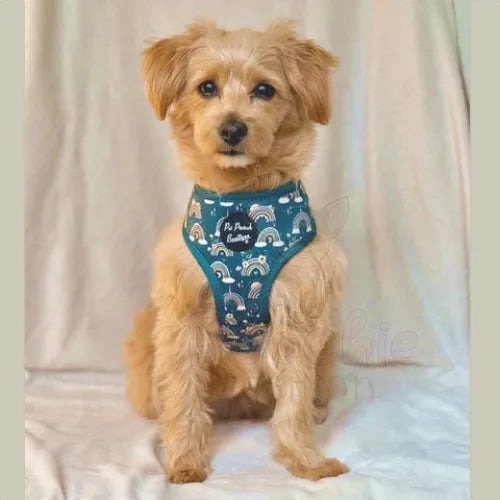 Whimsical Rainbows Dog Harness - Pet Pooch - 3