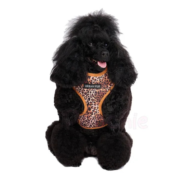 Wild Cat Leopard Dog Harness - Urban - 3