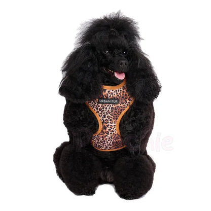Wild Cat Leopard Dog Harness - Urban - 3