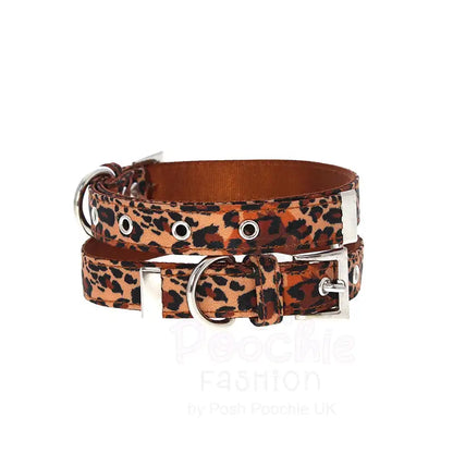Wild Cat Leopard Fabric Dog Collar and Lead Large - Sale - 3