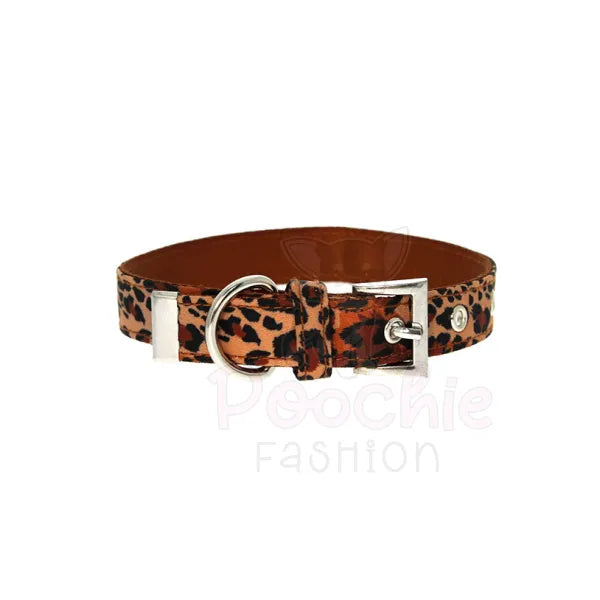 Wild Cat Leopard Fabric Dog Collar - Urban - 5