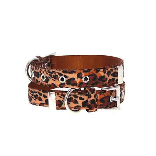 Wild Cat Leopard Fabric Dog Collar - Urban - 1