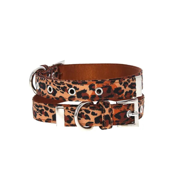 Wild Cat Leopard Fabric Dog Collar - Urban - 1