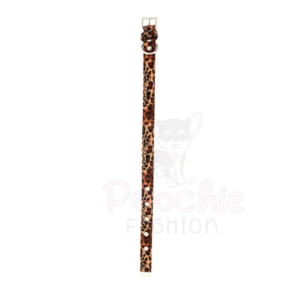 Wild Cat Leopard Fabric Dog Collar - Urban - 4