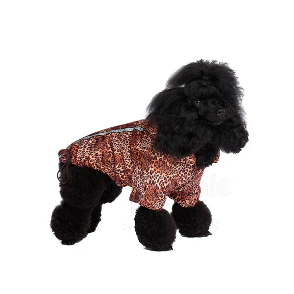 Wild Cat Leopard Fleece Lined Rainstorm Dog Raincoat - Urban - 2