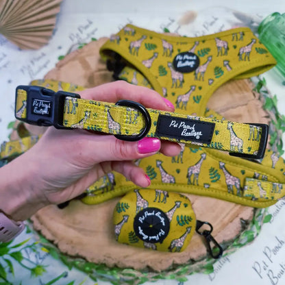 Wild Giraffe Dog Collar - Pet Pooch - 1