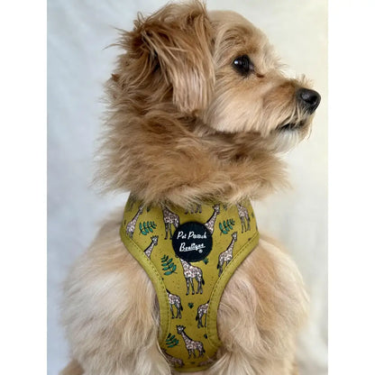 Wild Giraffe Dog Harness - Pet Pooch - 4