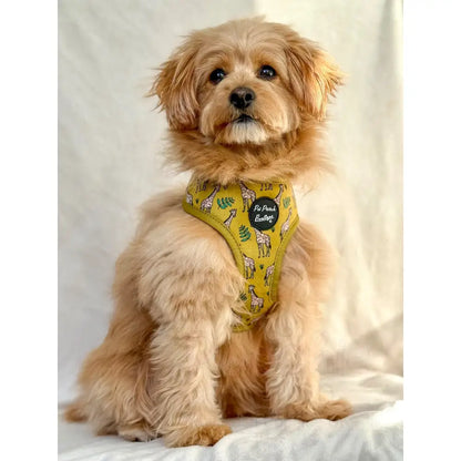 Wild Giraffe Dog Harness - Pet Pooch - 5