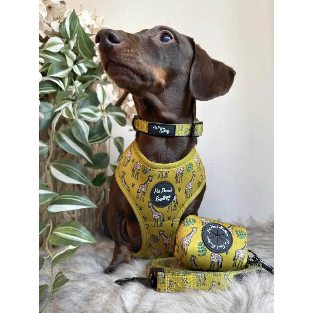 Wild Giraffe Dog Harness - Pet Pooch - 2