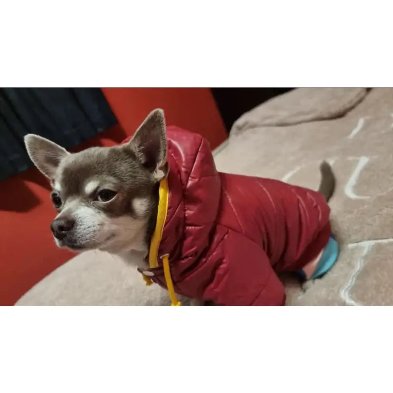 Wine Red Puffa Insulated Designer Dog Coat - Urban Pup 3