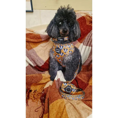 Woodland Badger Dog Harness - Pet Pooch - 4