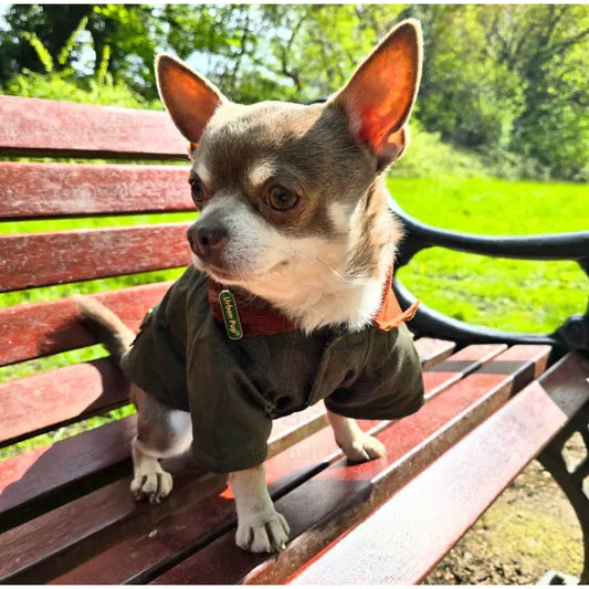 Woodland Country Designer Dog Coat - Urban - 2