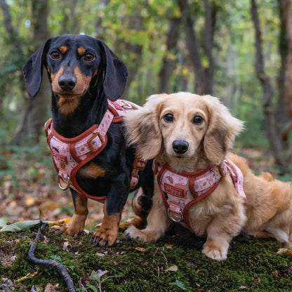 Woodland Friends Explorer Dog Harness - Piggie - 5