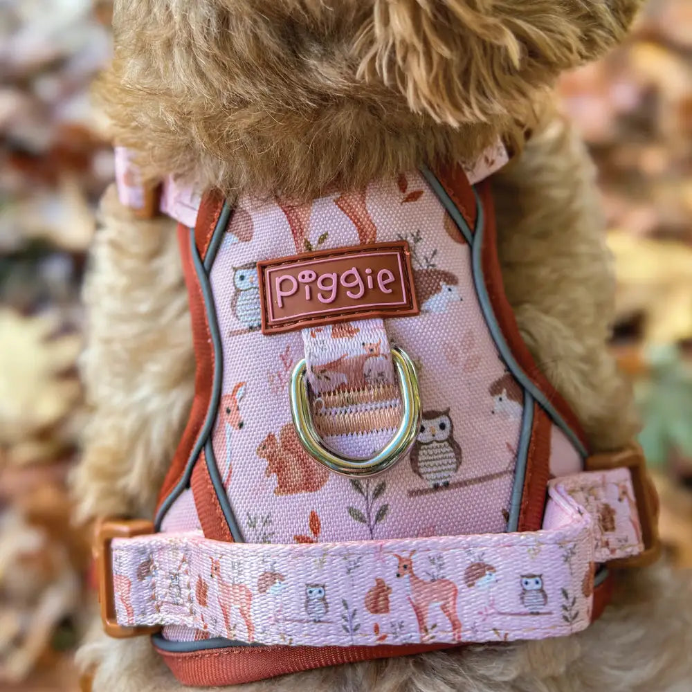 Woodland Friends Explorer Dog Harness - Piggie - 12