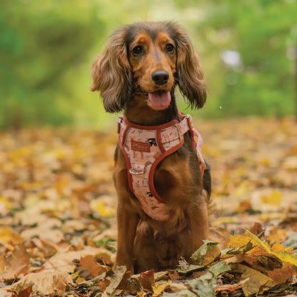 Woodland Friends Explorer Dog Harness - Piggie - 6
