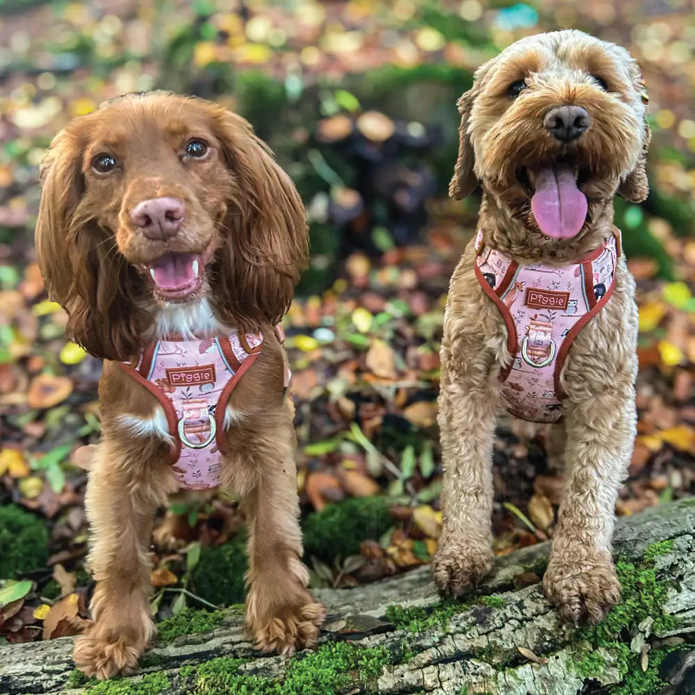 Woodland Friends Explorer Dog Harness - Piggie - 3