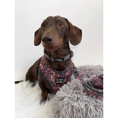 Woodland Hedgehog Dog Harness Pet Pooch 3