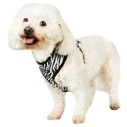 Zebra Dog Harness Medium - Sale - 1