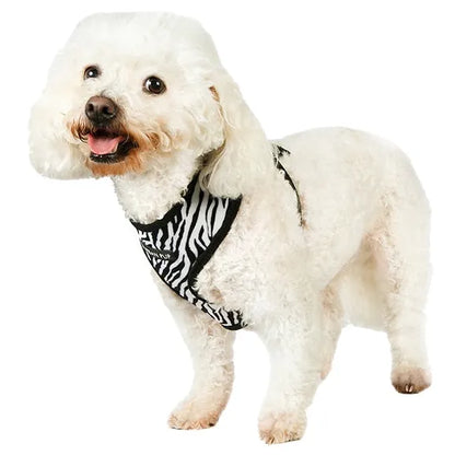 Zebra Dog Harness - Sale - 1
