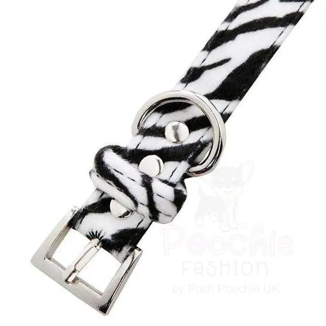 Zebra Print Fabric Dog Collar - Urban - 3